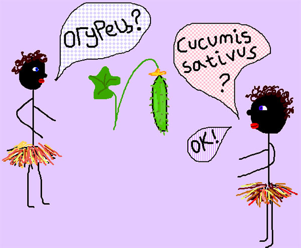 Рисунок © Е.В.