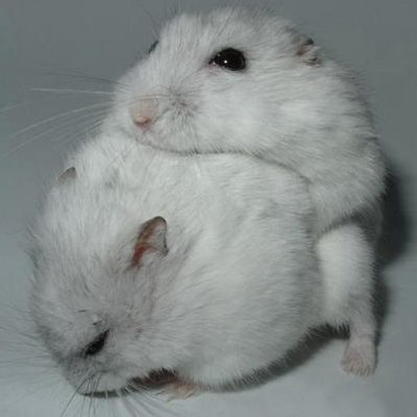 Фото с сайта http://1.bp.blogspot.com