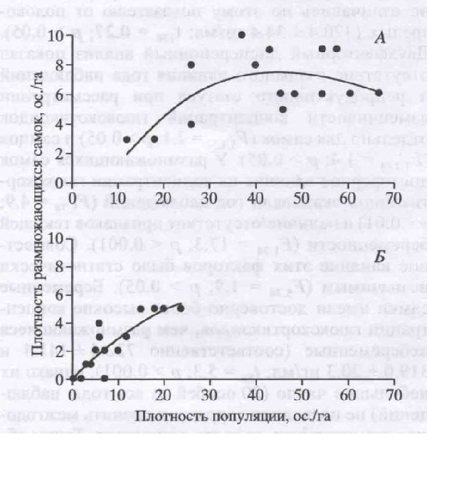 Рис. 3. Зависимость плотности размножающихся самок от общей плотности особей красной полевки на стационарных площадках мечения. А – прителецкая популяция, Б – популяция ННЦ. Линией показана аппроксимирующая кривая, наиболее точно описывающая наблюдаемую зависимость. .рисунок из обсуждаемой статьи