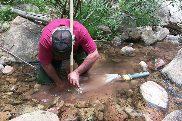 Чем больше проб вы возьмете из водоема, тем больше видов живых существ в них обнаружите. Как понять, сколько их там всего, если число проб ограничено?