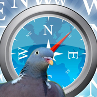 Птицы имеют собственную «GPS» для навигации, часть которой использует геомагнитное поле Земли. Изображение jprole & Acuzio с сайта www.decodedscience.com