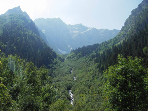 Ущелье реки Малая Лаба (Северный Кавказ).