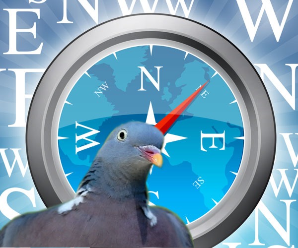 Птицы имеют собственную «GPS» для навигации, часть которой использует геомагнитное поле Земли. Изображение jprole & Acuzio с сайта www.decodedscience.com