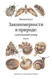 Закономерности в природе: самотканый ковер. Формы