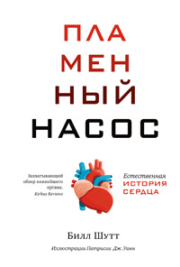 Пламенный насос