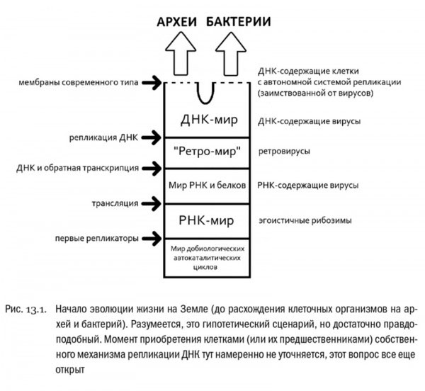 Начало эволюции жизни на Земле (схема из книги «От атомов к дереву»)