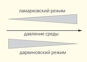 Переход от дарвиновского к (квази)ламарковскому режиму эволюции в зависимости от давления среды  («Природа» № 10, 2014) 