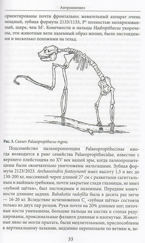 Страница из книги Станислава Дробышевского «Антропогенез» (ammonit.ru)
