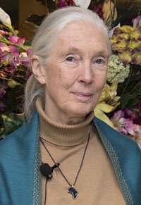 Джейн Гудолл (Jane Goodall) (изображение: wikimedia.org)