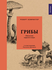 Грибы