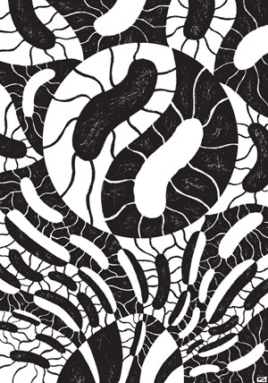 Рисунок Андрея Бондаренко из книги «Перспективы отбора»