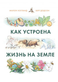 Как устроена жизнь на Земле