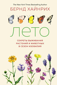 Лето