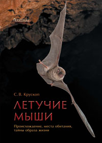 Летучие мыши