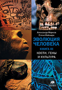 Эволюция человека