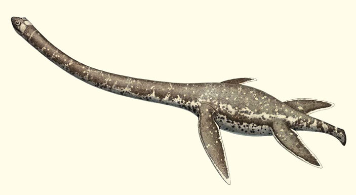 Абиссозавр (Abyssosaurus nataliae) («Природа» №5, 2019)