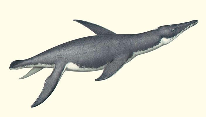 Иргизский плиозавр (Pliosaurus irgisensis) («Природа» №5, 2019)