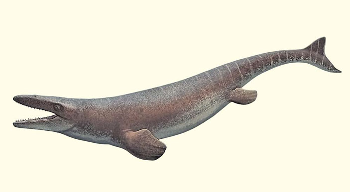 Мозазавр Гофмана (Mosasaurus hoffmanni) («Природа» №5, 2019)
