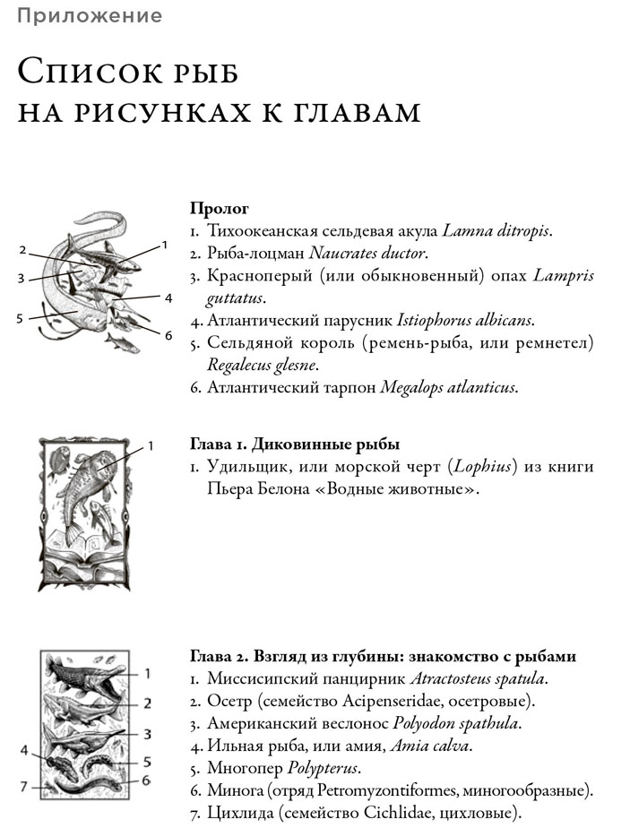 Рисунок 1c. Иллюстрация из книги «О чем молчат рыбы» («Биомолекула.ру»)