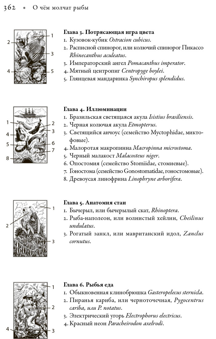 Рисунок 1d. Иллюстрация из книги «О чем молчат рыбы» («Биомолекула.ру»)