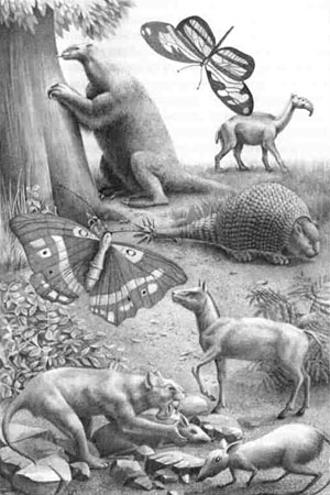 Рисунок Анастасии Бесединой из книги «Парнокопытные киты, четырехкрылые динозавры, бегающие черви...» (alioramus-altai.blogspot.com)