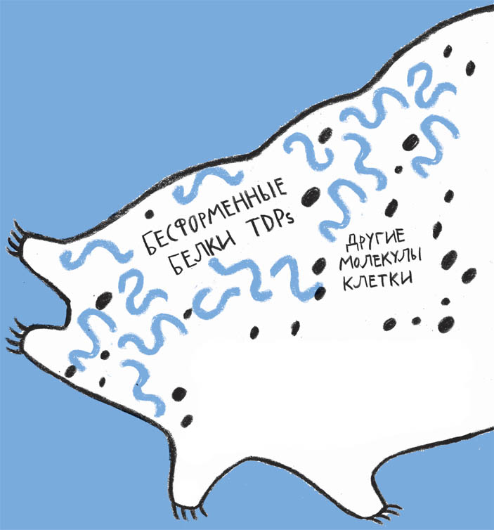 Иллюстрация из книги Ольги Посух «Микросупергерои. Самый живучий»