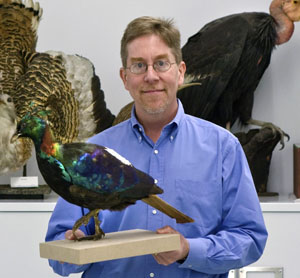 Ричард Прам (Richard O. Prum) (изображение: daily.jstor.org)