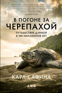 В погоне за черепахой