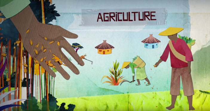 «Теория эволюции: как из шести видов человека остался один» © ynharari.com («РБК Стиль»)