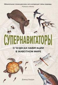 Супернавигаторы