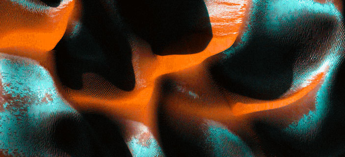 Цветущая сложность: правила жизни в хаотическом мире («Горький»)