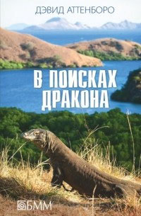 В поисках дракона