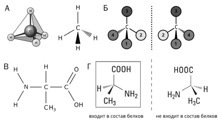 Рис. 4.1. Симметрия и диссимметрия молекул