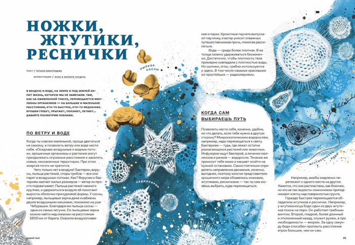 Рисунок 1b. Страницы альманаха «Звездная пыль под подушкой» («Биомолекула.ру»)