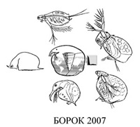 Всероссийская школа-конференция &laquo;Cladocera: систематика и биология&raquo;