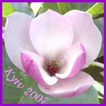 Международная конференция молодых ученых-ботаников &laquo;Актуальные проблемы ботаники и экологии&raquo;