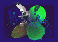 Фото с сайта http://www.icb.psn.ru/