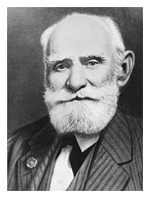 И.П.&nbsp;Павлов (1849-1936)