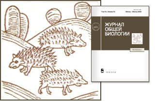 Свежий номер