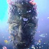 Феномен морского биопроспектинга
