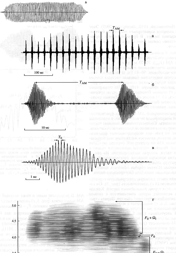 Рис. 2. Крррр-звук самца алтайской пищухи. Пример непрерывной AM: а - осциллограмма сигнала; б - осциллограмма фрагмента сигнала, ограниченного одним периодом AM; в - осциллограмма одного пульса сигнала; г - сонограмма крррр-звука. <i>T<sub>AM</sub></i>  - период АМ. <i>T<sub>0</sub></i>  - период основной, или несущей, частоты. <i>F<sub>0</sub></i>  - основная, или несущая, частота. <i>F<sub>0</sub></i>  -<i>Ω<sub>i</sub></i>- нижние боковые частоты; <i>F<sub>0</sub></i>  +<i>Ω<sub>i</sub></i> - верхние боковые частоты. Рисунок из обсуждаемой статьи
