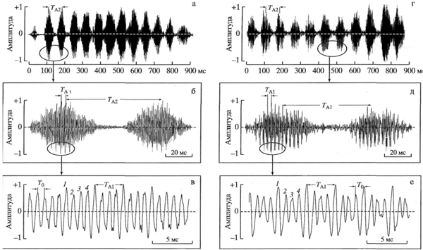 Уровни амплитудной модуляции (AM) зовущих криков домашних овец (а-в) и северных морских котиков (г-е): Т<sub>0</sub>- период несущей частоты, или частоты заполнения; Т<sub>A1</sub> - период AM1, уровня модуляции несущей частоты; Т<sub>A2</sub>- период АМ2, модулирующего колебание AM1 с периодом Т<sub>A1</sub>; 1-4 - пики периодов несущей частоты в пределах одного периода AM1; стрелками показаны участки сигнала, из которых извлечены фрагменты осциллограммы с высоким временным разрешением. 