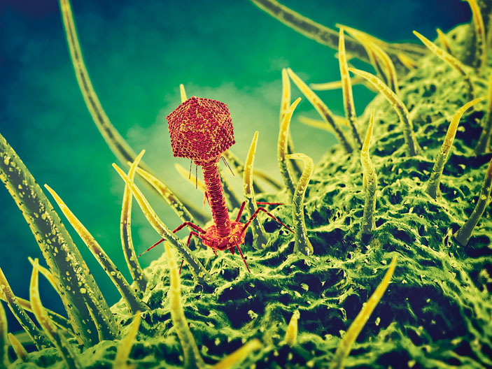 Фаг («Кот Шрёдингера» №1–2(39–40), 2018) 