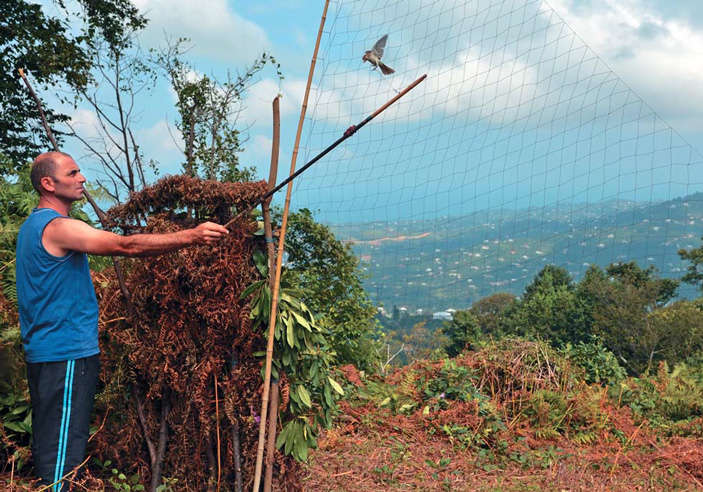 Охотник, «играющий» манковой птичкой перед сетью