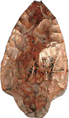 изображение: «Наука из первых рук»