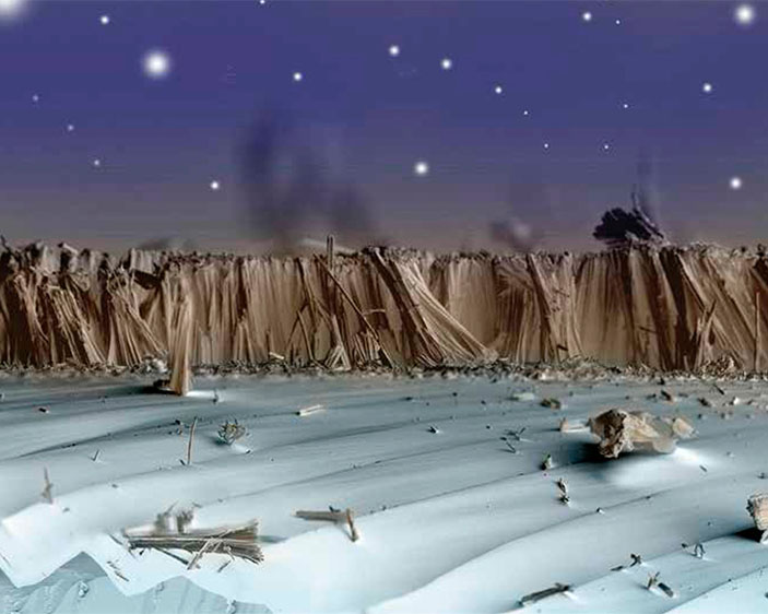 Массив карбонизированной кремниевой нанопроволоки («Наука из первых рук» №6(60), 2014)