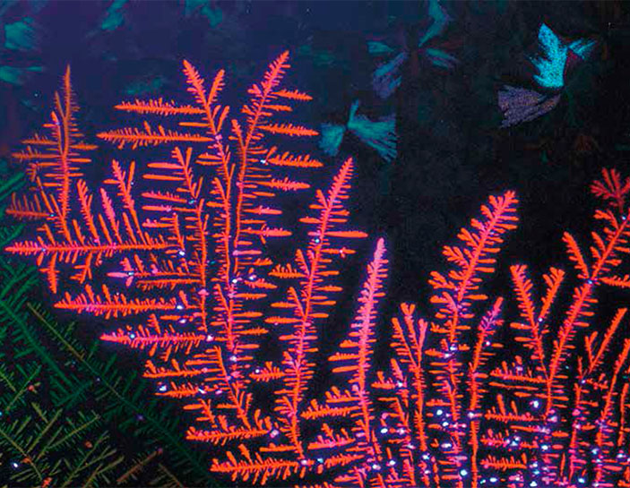 Двулучепреломление в тонкой органической полупроводниковой пленке («Наука из первых рук» №6(60), 2014)