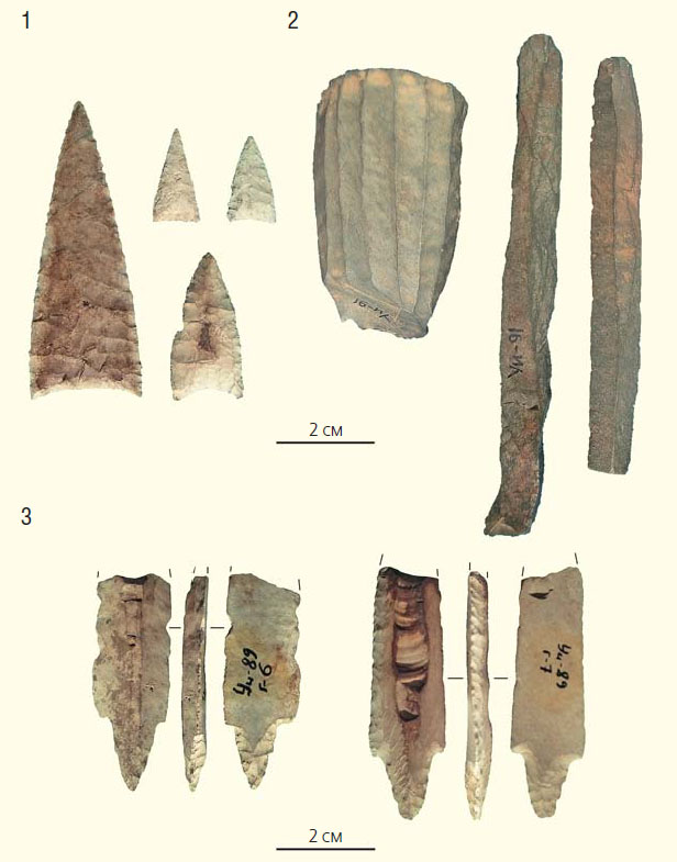 Рис. 3. Каменные орудия древних жителей Дарпирской впадины («Природа» №6, 2020)