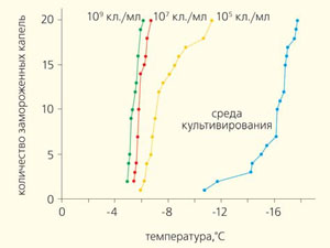 Рис. 11. Спектры нуклеации образцов, содержащих бактерии Shewanella frigidimarina («Природа» №2, 2017)