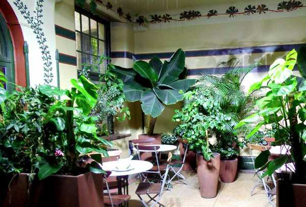 Комната отдыха, помогающая бороться с зимней депрессией: яркая подсветка и много растений. Стокгольм. Фото: А. Константинов